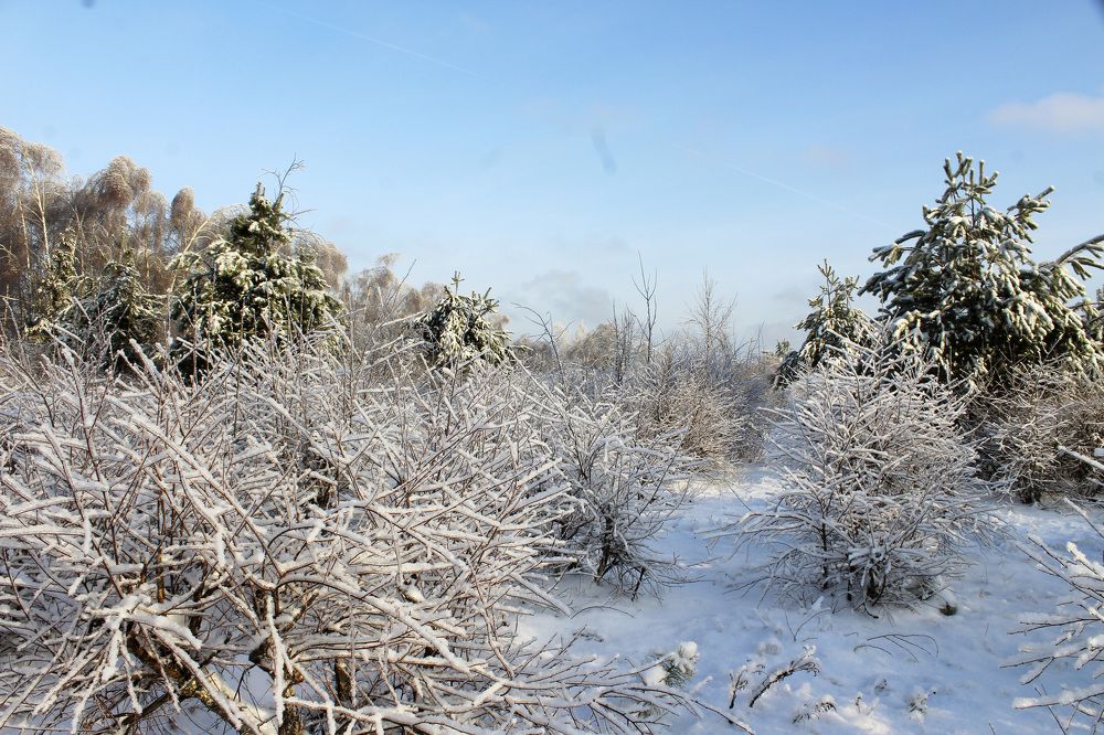 Photograph by Татьяна Фоевцева