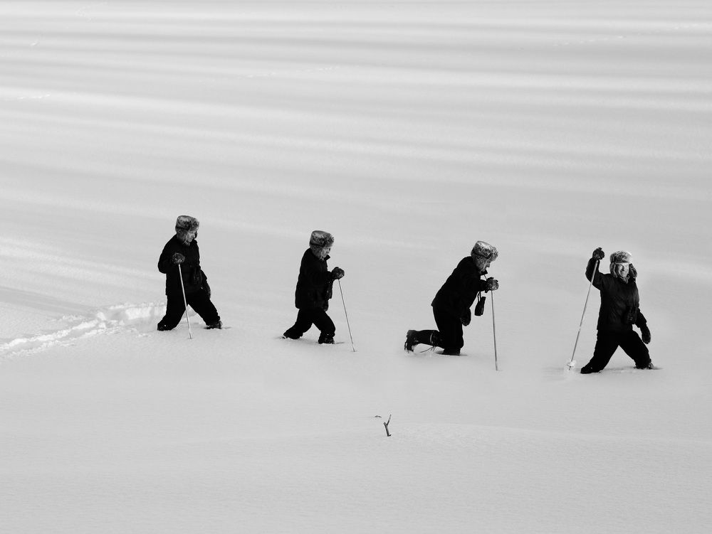 Photograph by Елена Тимченко