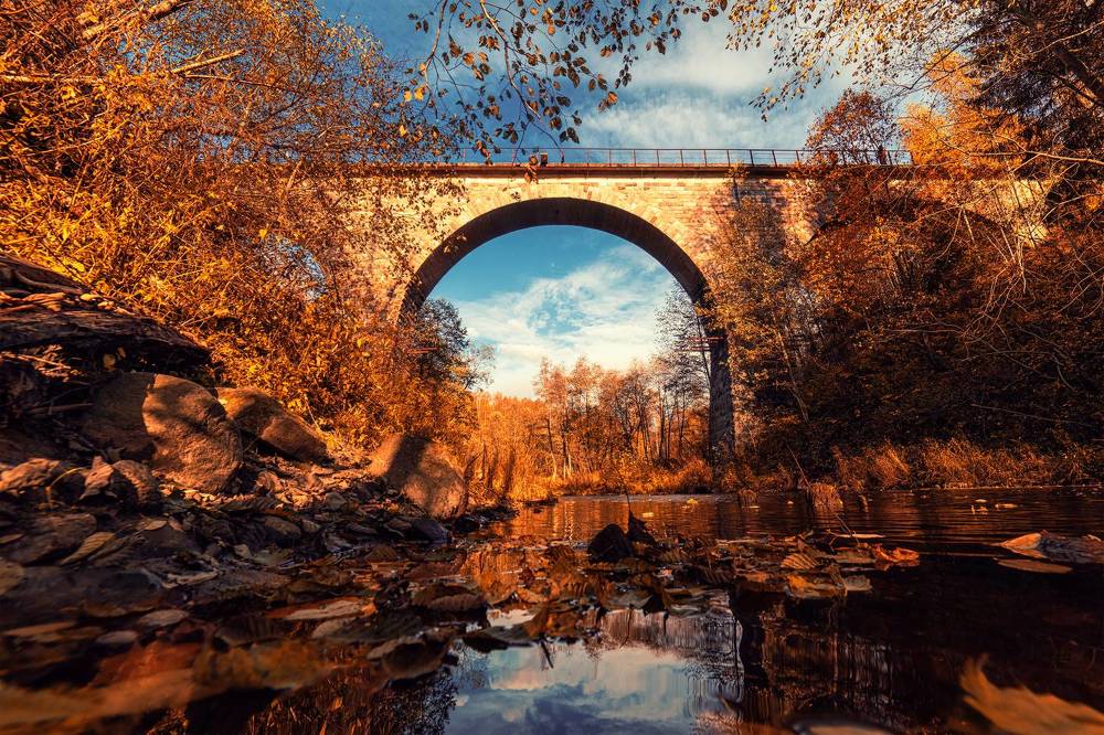 Мост через р.Ярынья Новгородская обл. Крестецкий район