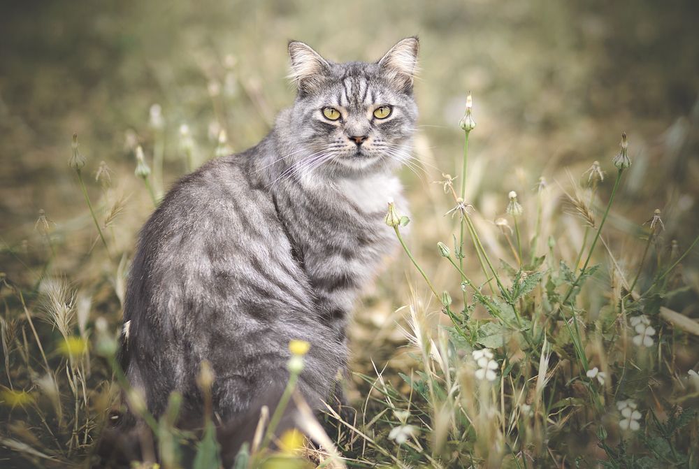 Photograph by Leticia Hernández Gavira