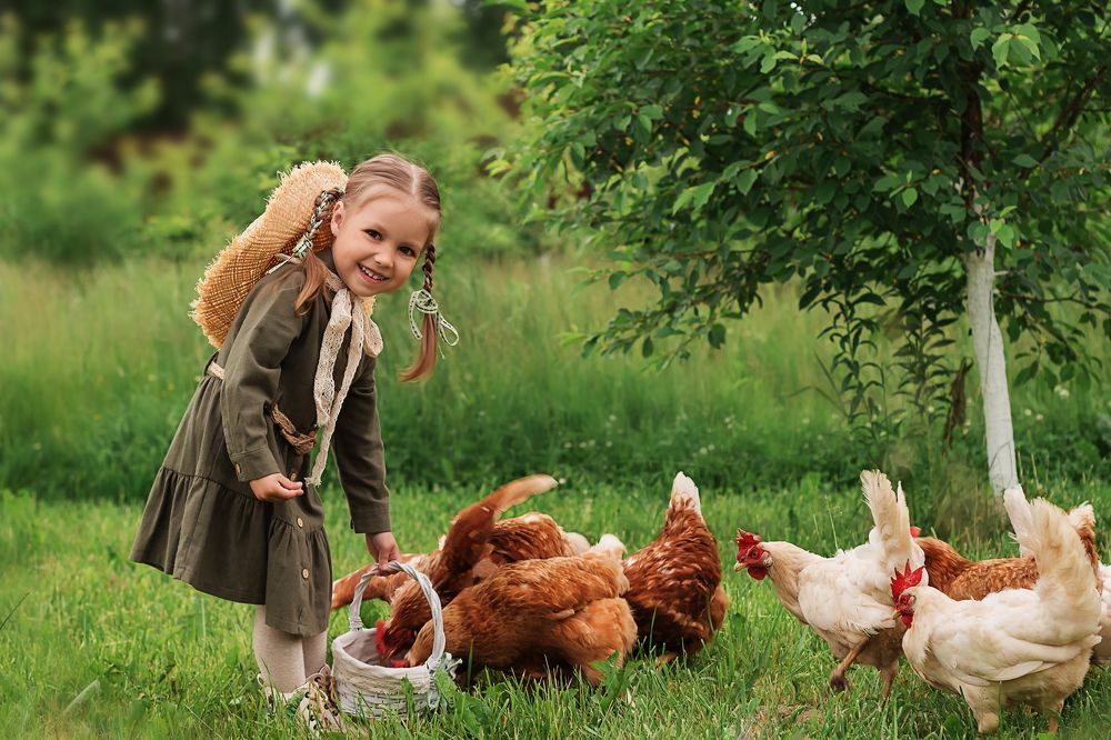 Photograph by Ольга Щерба