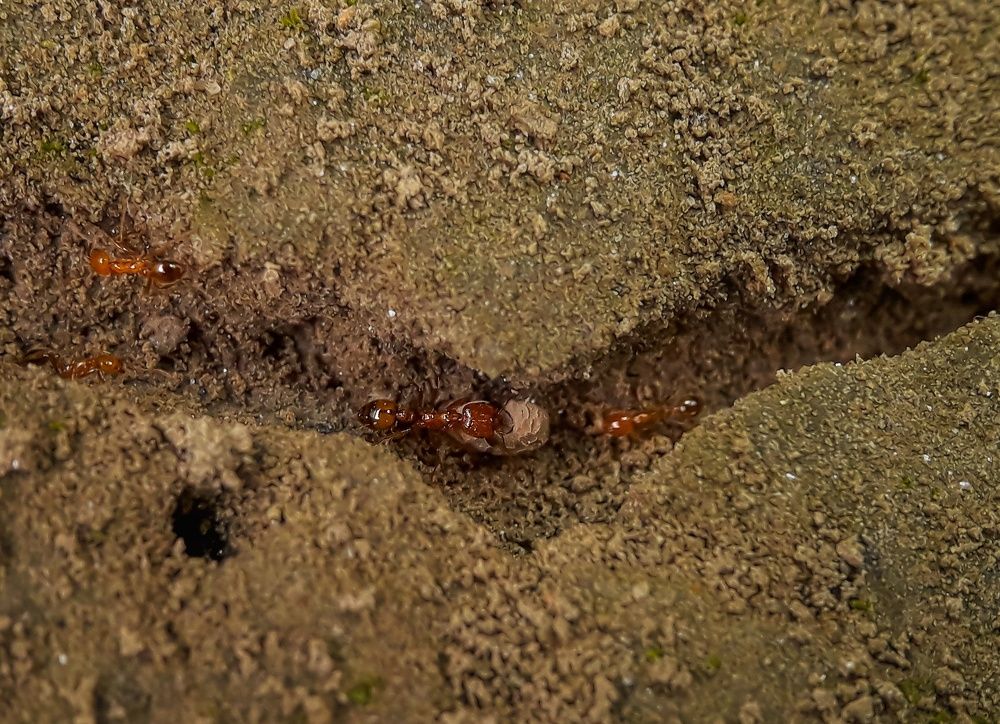 Photograph by Shubhra Das