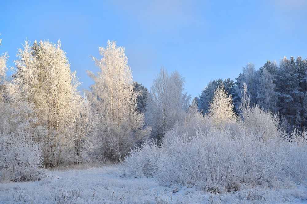 Фотография автора Оксана Льдинина