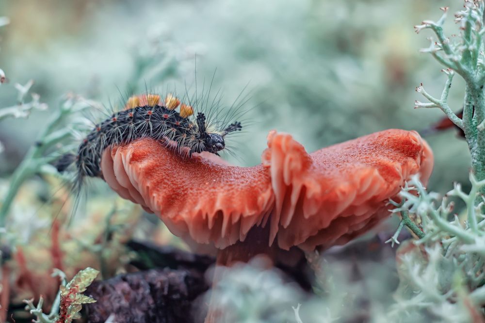 Photograph by Третьякова Анастасия