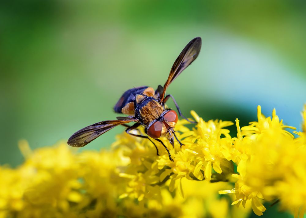 Photograph by Valery Pegushev