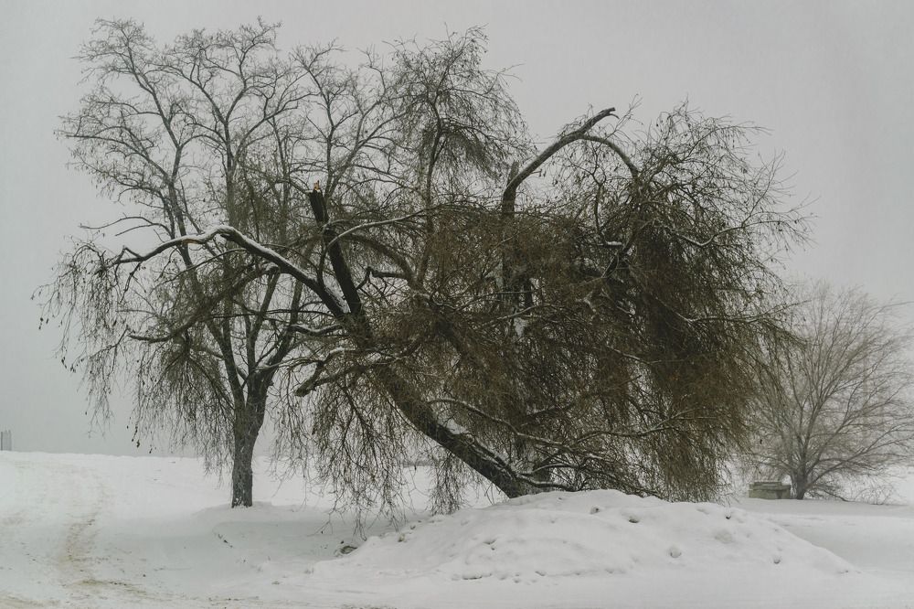 хмурое утро