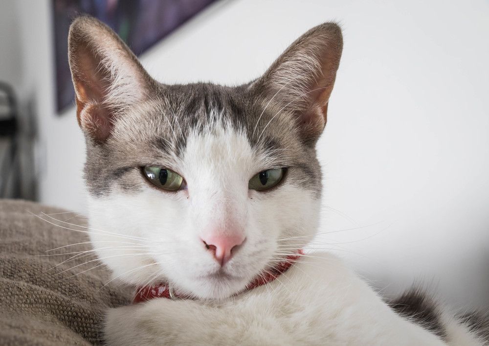 Photograph by Malinda Badenhorst