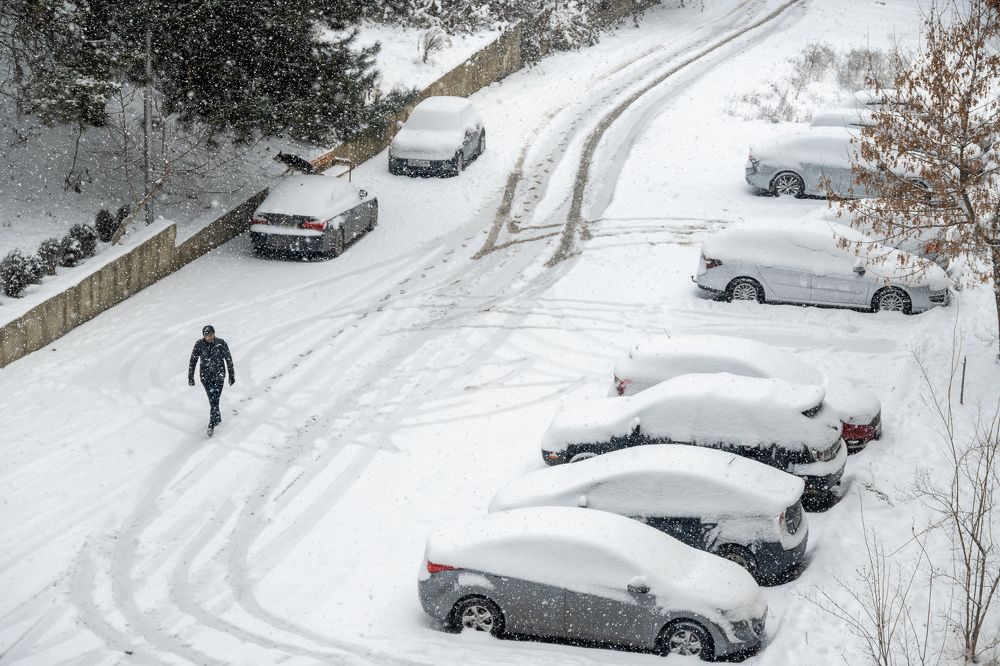 Фотография автора Андрей Симонов