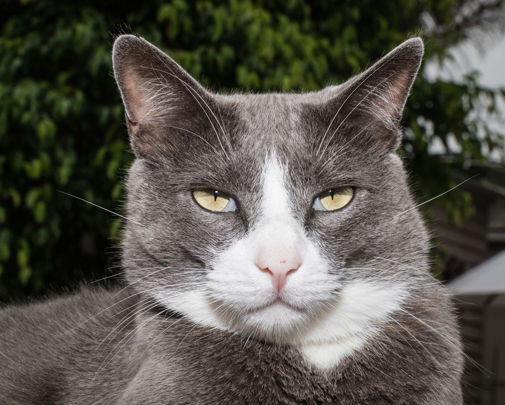 Photograph by Malinda Badenhorst