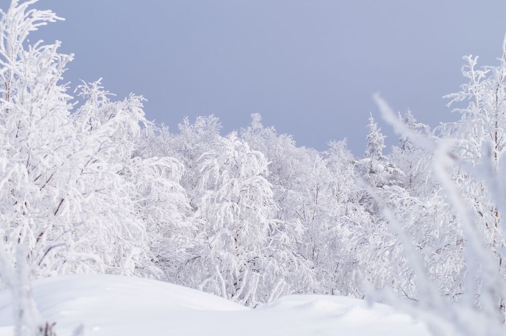 Photograph by Анастасия Пельменёва