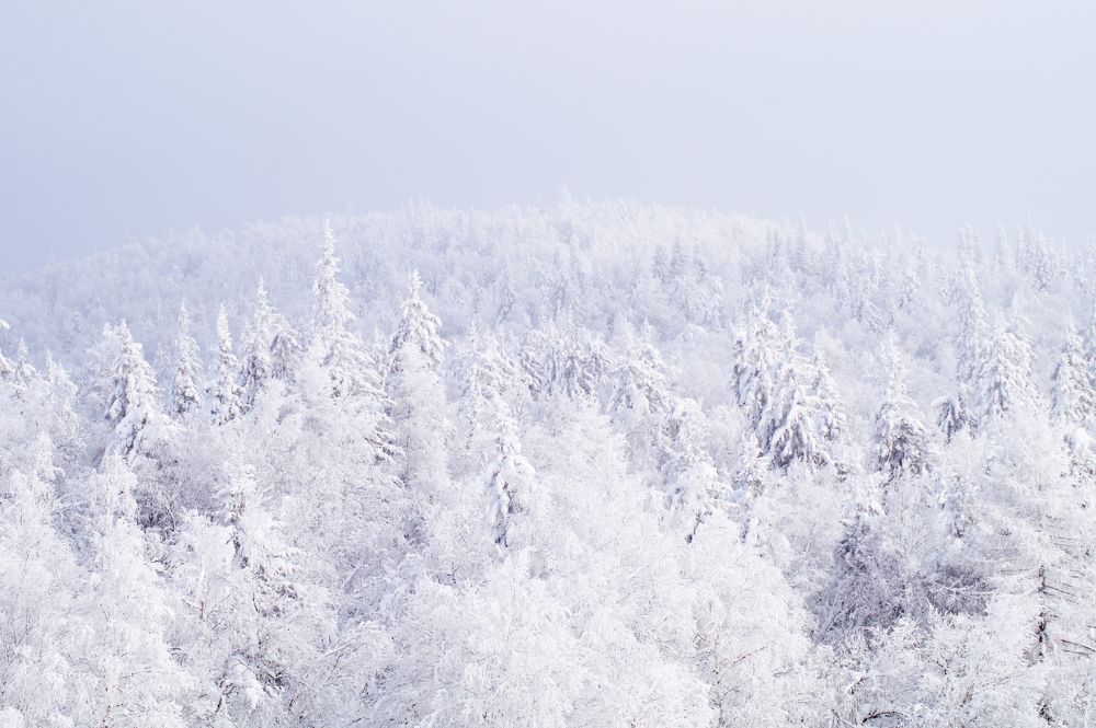 Photograph by Анастасия Пельменёва