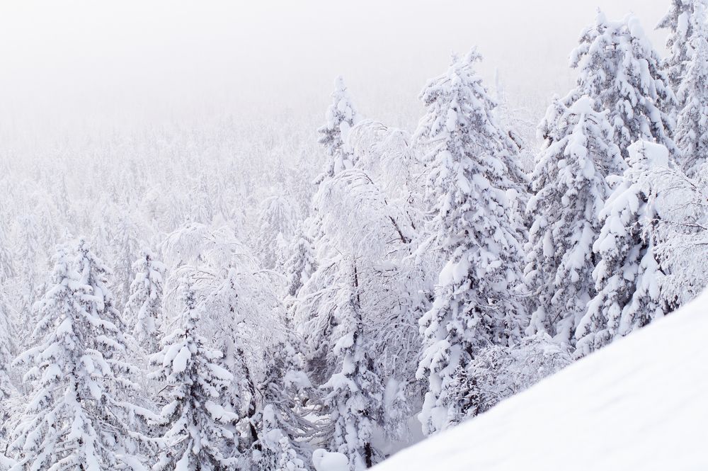 Photograph by Анастасия Пельменёва