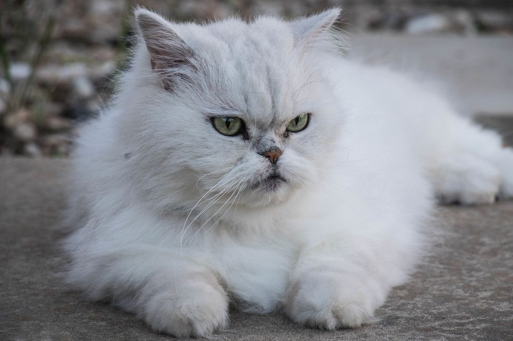 Photograph by Malinda Badenhorst