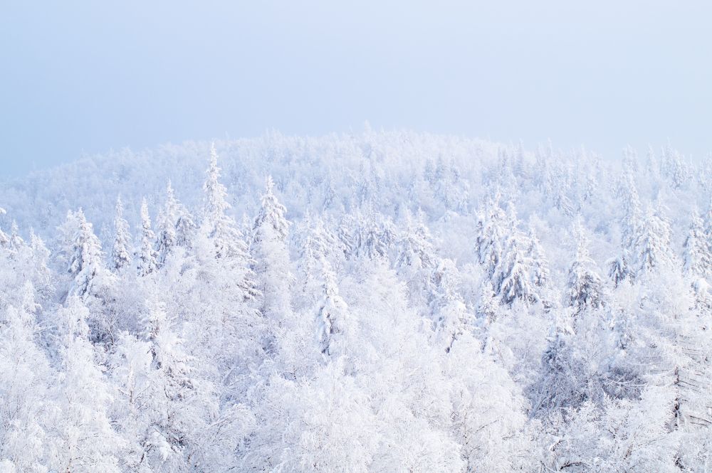 Photograph by Анастасия Пельменёва