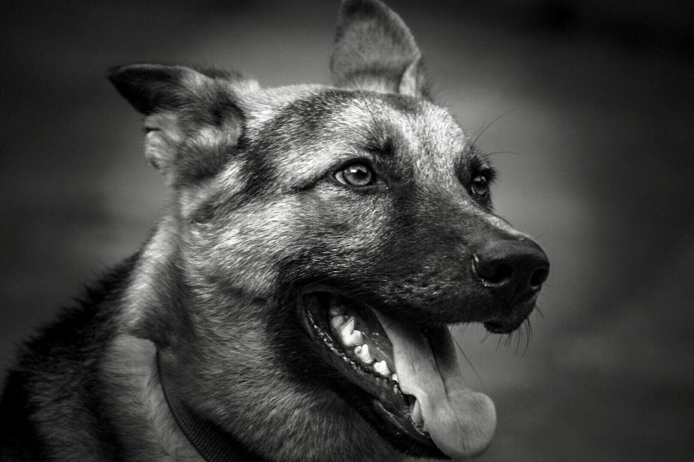 Photograph by Sweta Mishra