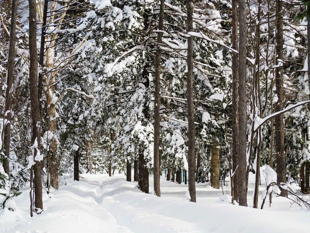 Фотография автора Olena Vorotyntseva