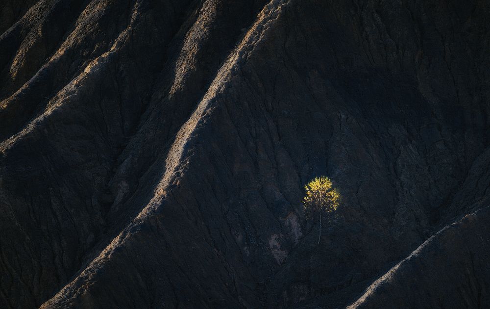 Photograph by Левыкин Виталий