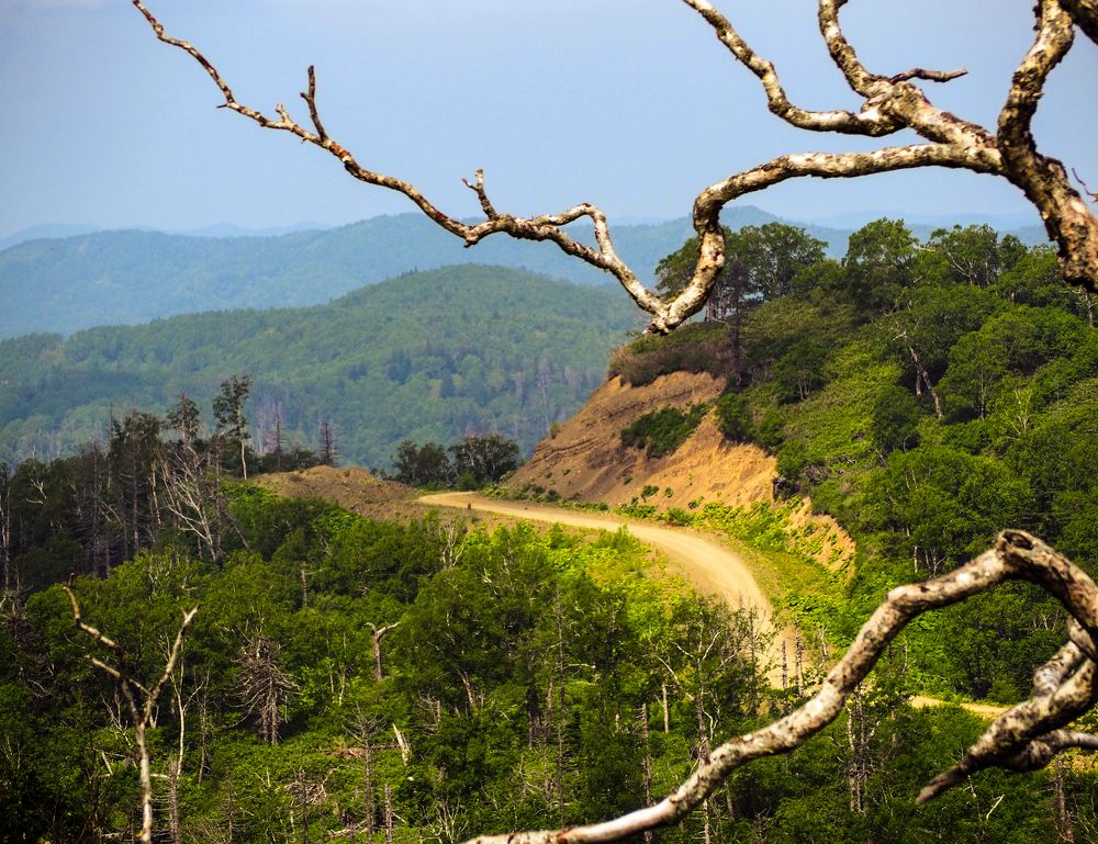 Фотография автора Olena Vorotyntseva