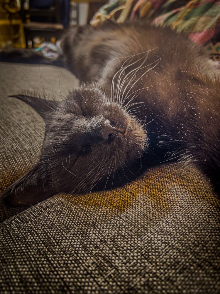 Photograph by Максим Комиссаров