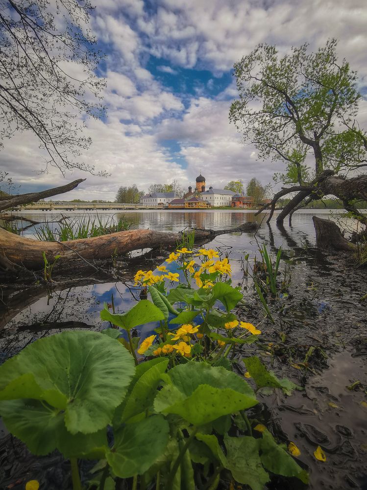 Photograph by Левыкин Виталий