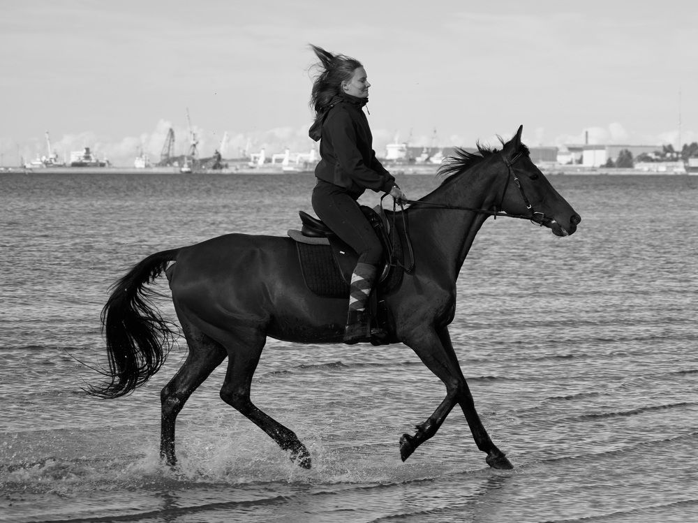 Photograph by Toomas Tõnisalu