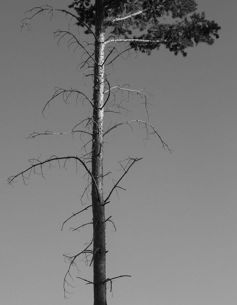 Фотография автора Игорь Русанов