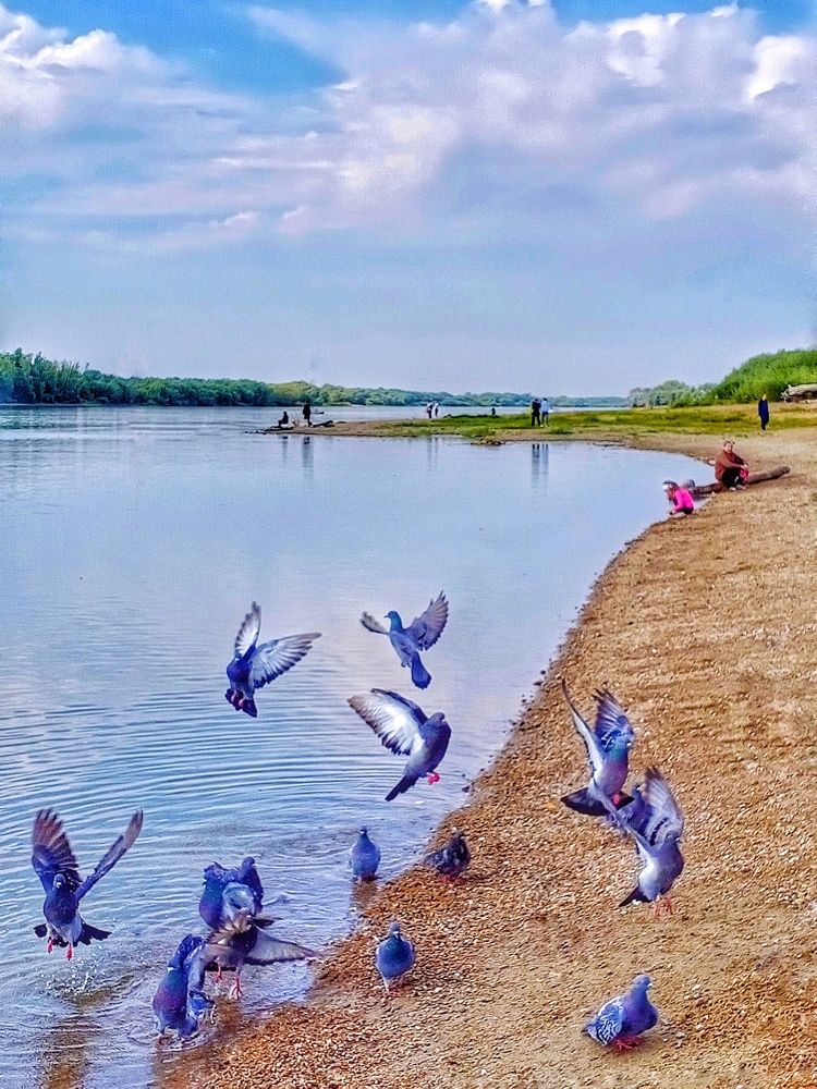 Утро на Иртыше