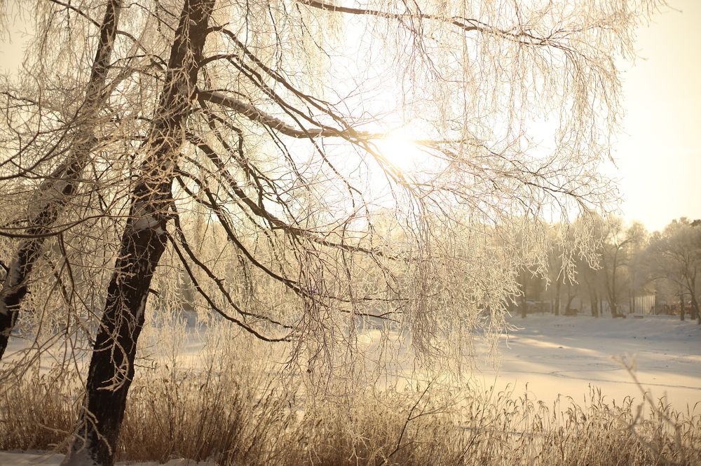 Photograph by Вячеслав Ват