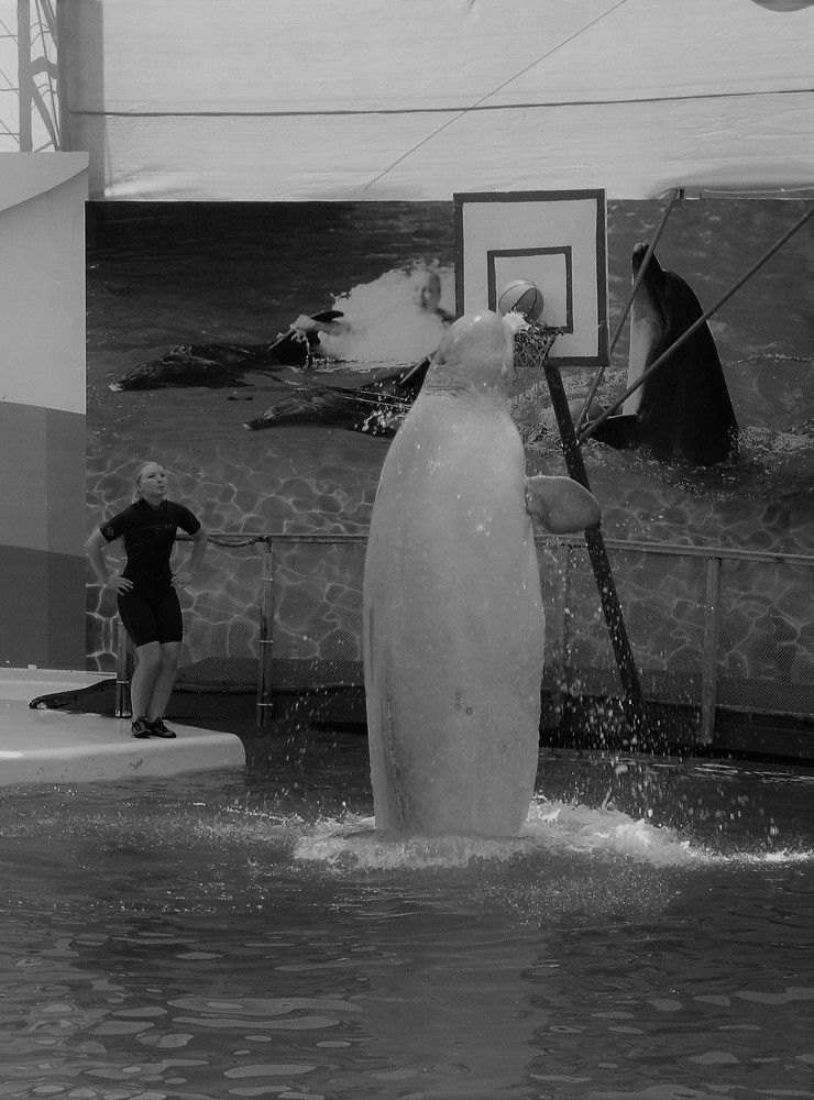 Photograph by Надежда