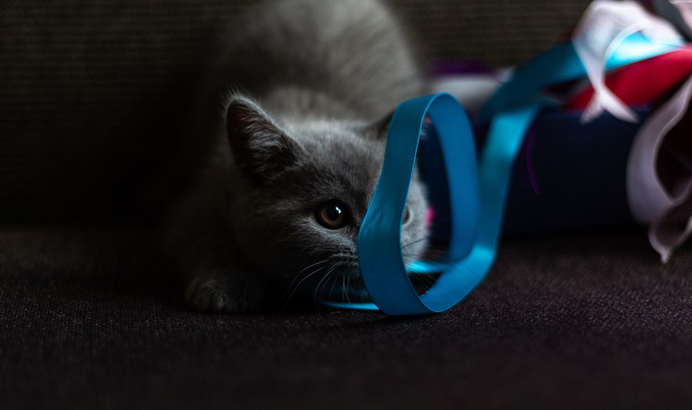 Photograph by Мария Богданова