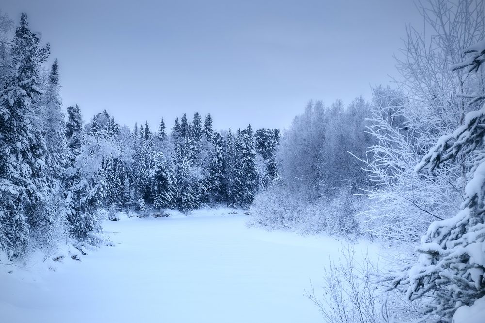 Фотография автора Виктория Шаманова