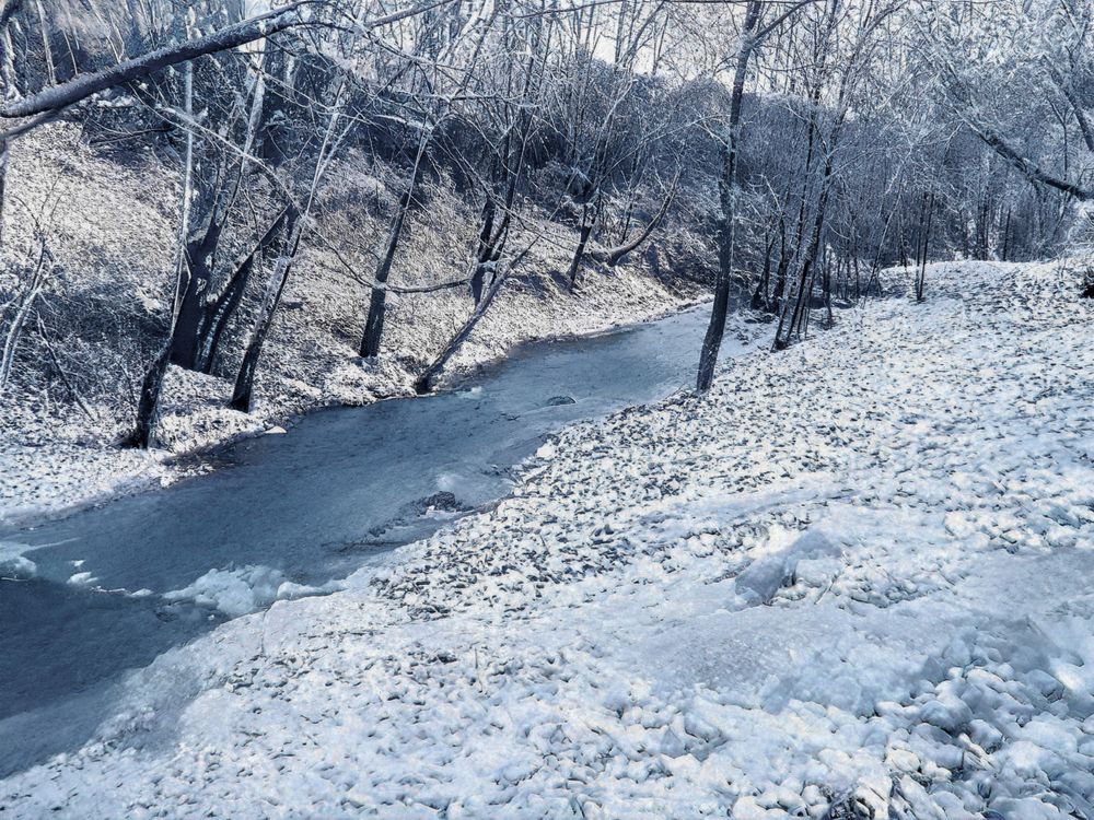 Фотография автора reza ahmadi