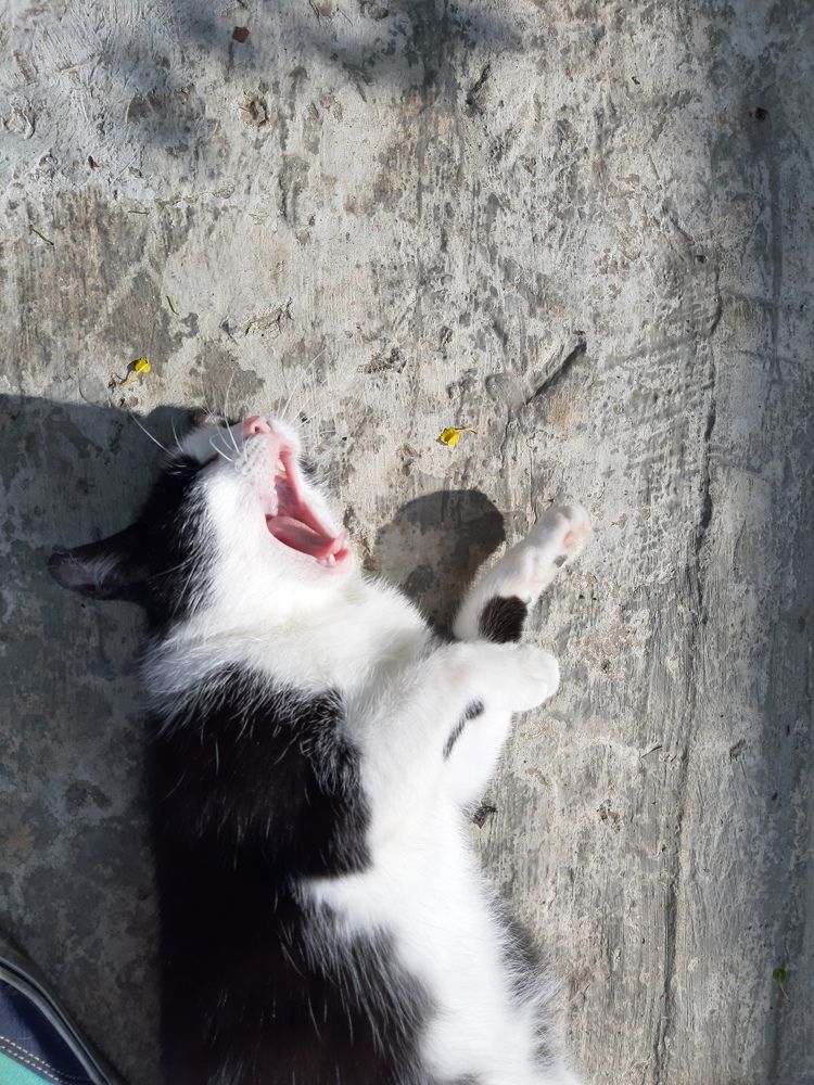 Photograph by arikacat