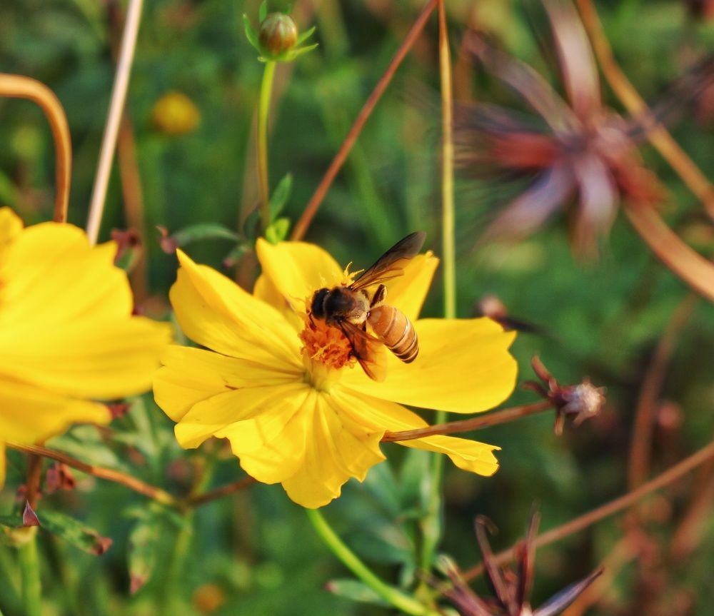 Photograph by An Tran Thanh
