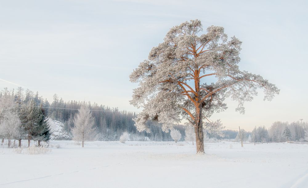 Photograph by Воинков Виктор