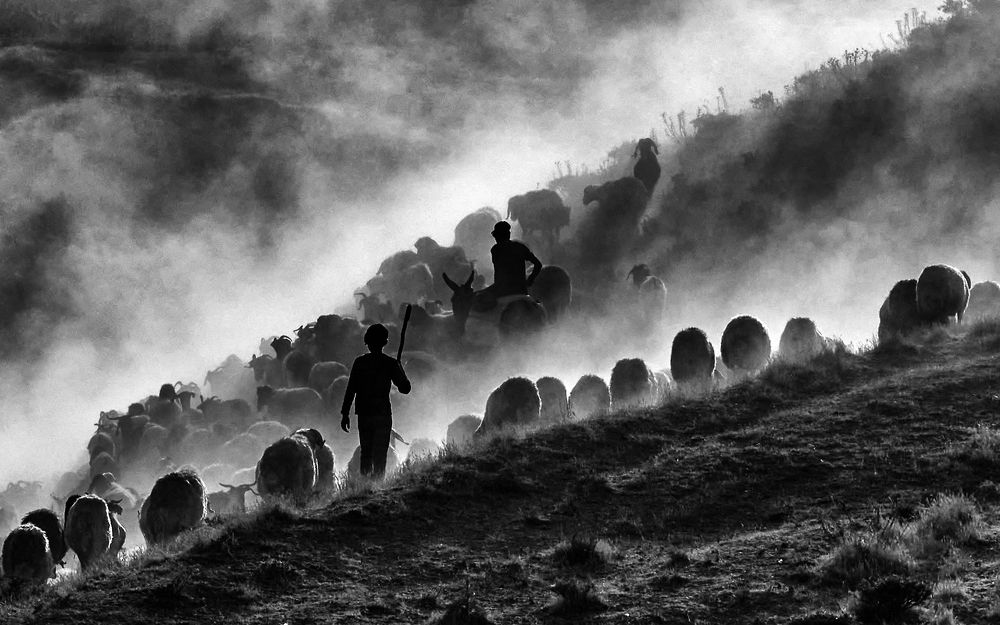 Фотография автора Gilcan Mete Delibay