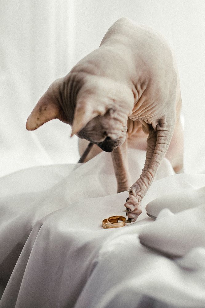 Photograph by Александра Алексеенко