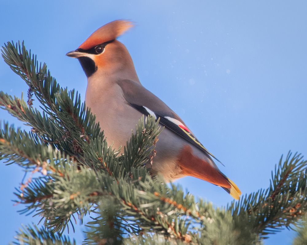 Photograph by Тамара Вотинцева