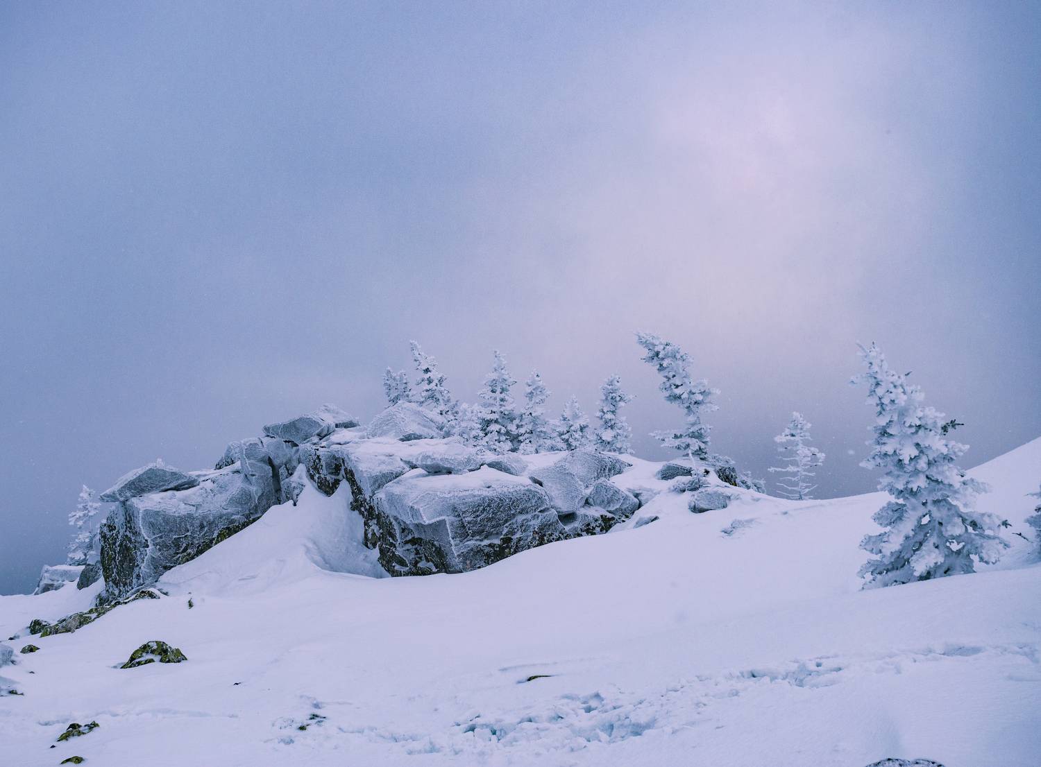 Photo #8748422