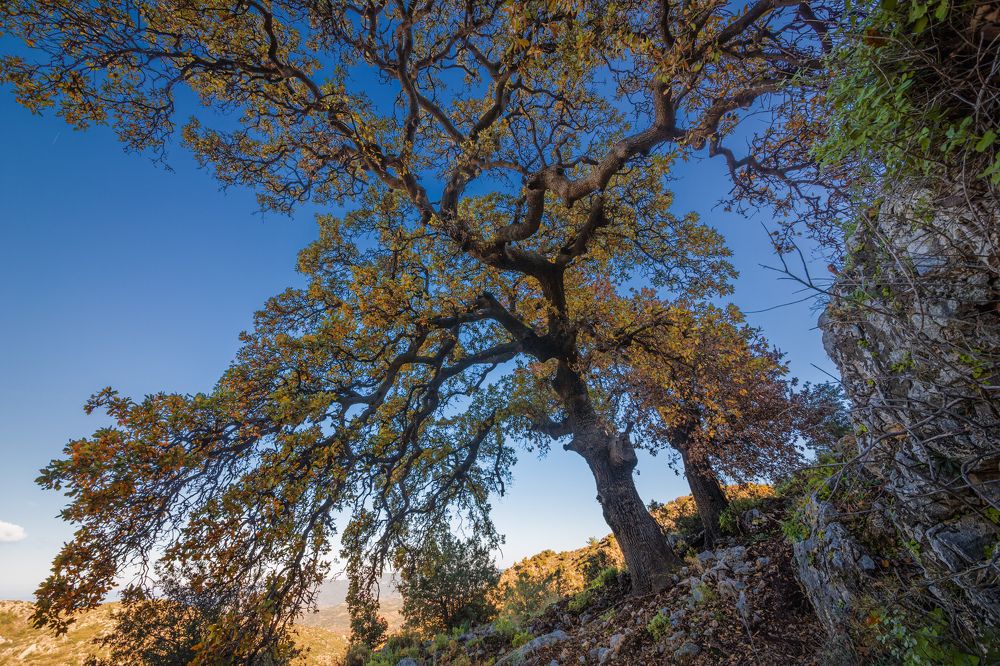 Photograph by Сергей Алимов