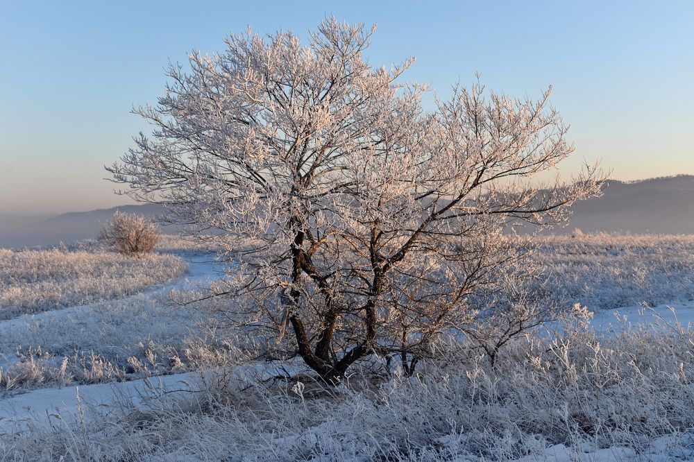 Photograph by Алексей Лаврентьев