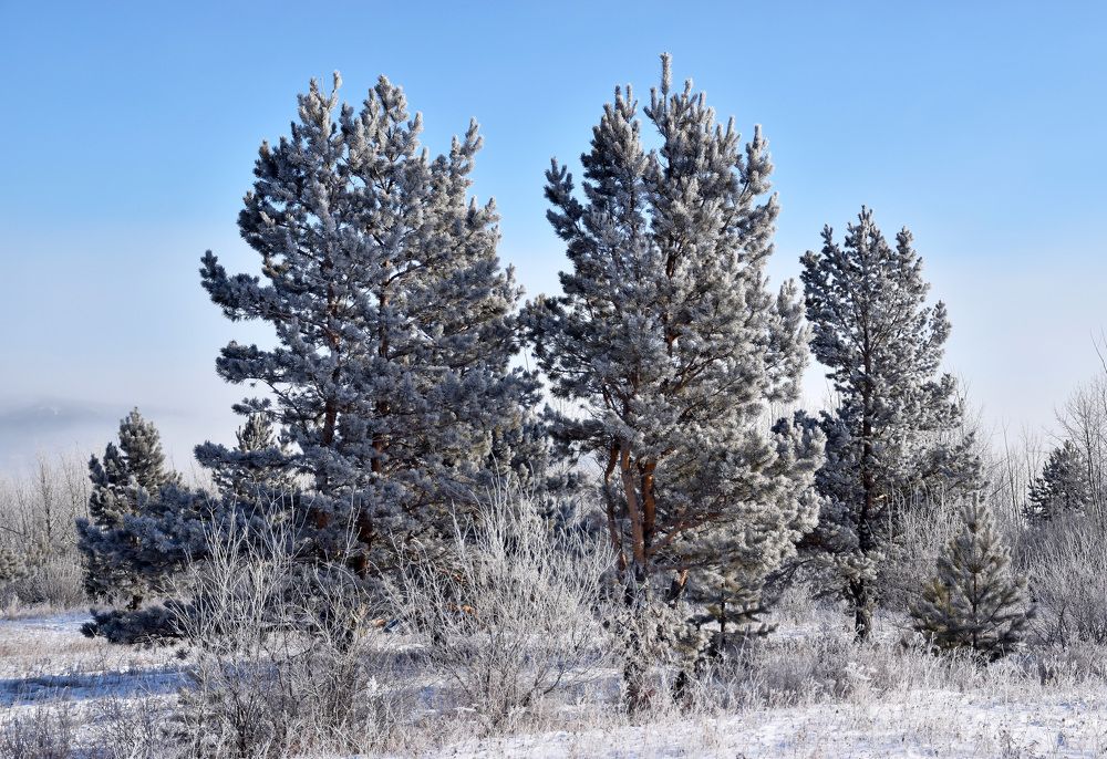 Photograph by Алексей Лаврентьев