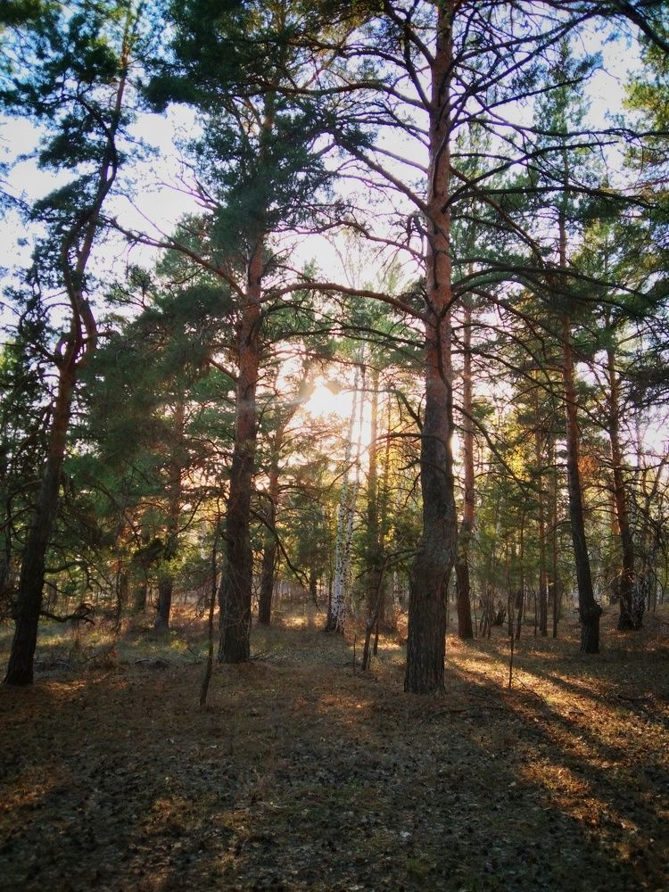 Photograph by Кулешова Анастасия