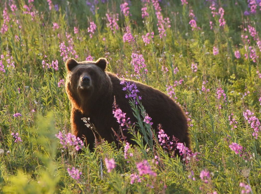 Photograph by Наталья Турчик
