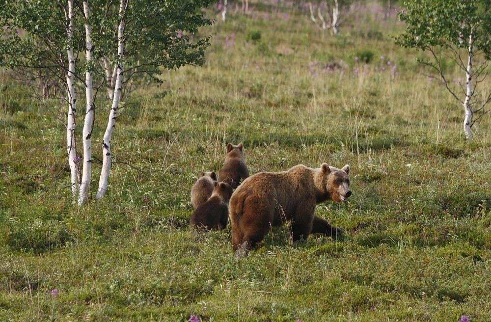 Photograph by Наталья Турчик