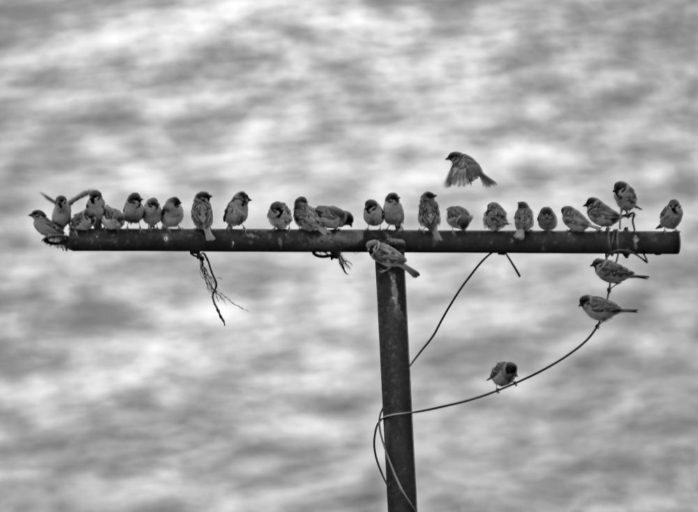 Photograph by Alex Mikh