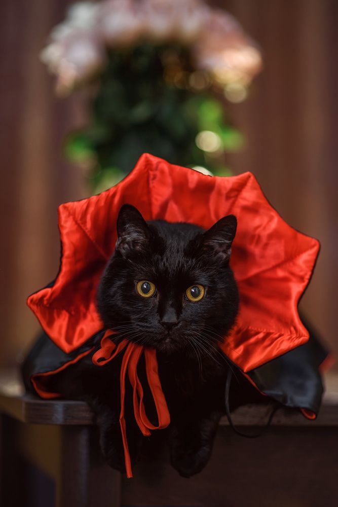 Photograph by Ольга Ляхова