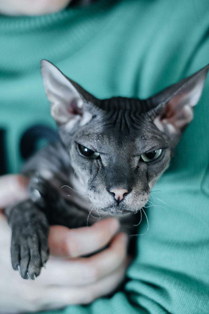 Photograph by Анна Захарук