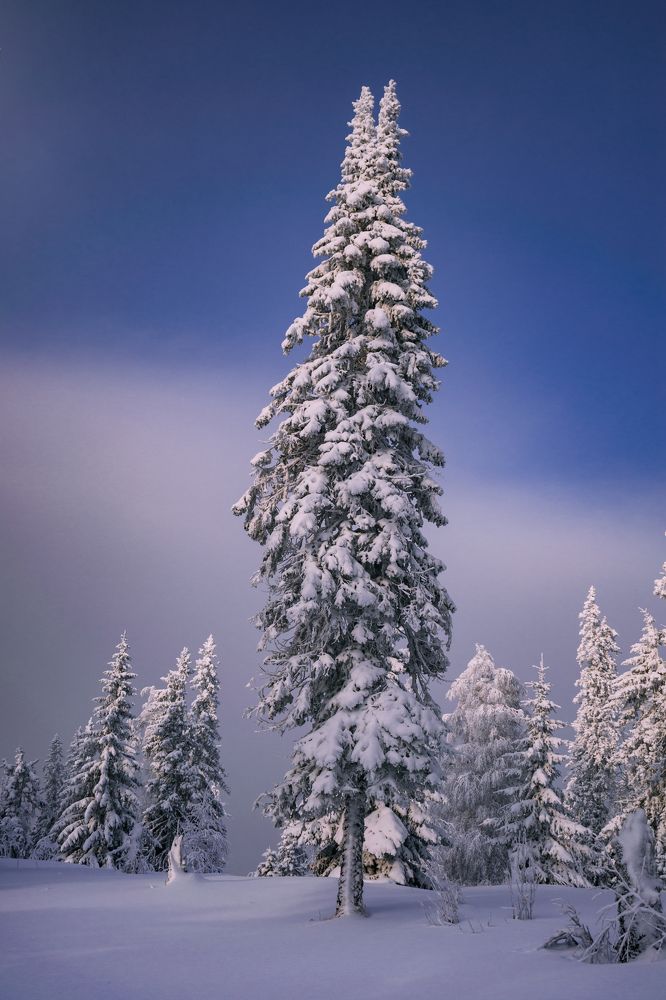 Photograph by Павел Благодатский