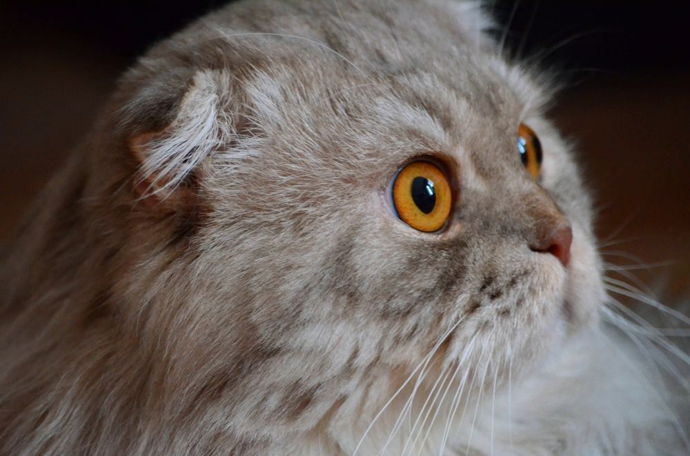 Photograph by Наталья Иванова